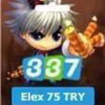 Uçan Ejder 1875 Coins