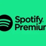 Spotify 12 Months Subscription UAE