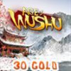 Age Of Wushu 30 Gold