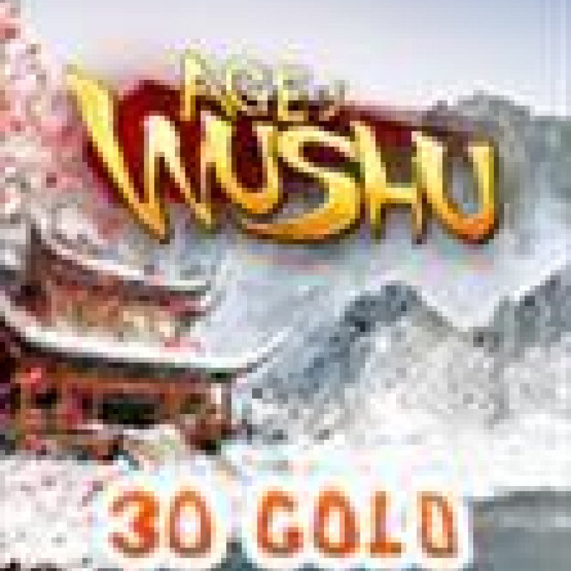 Age Of Wushu 30 Gold