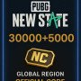 PUBG New State - 30000+5000 NC