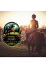 Stable Stories - Forest and Meadow Ride (Xbox Games US)