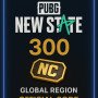 PUBG New State - 300 NC