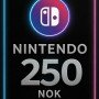 Nintendo eShop 250 NOK